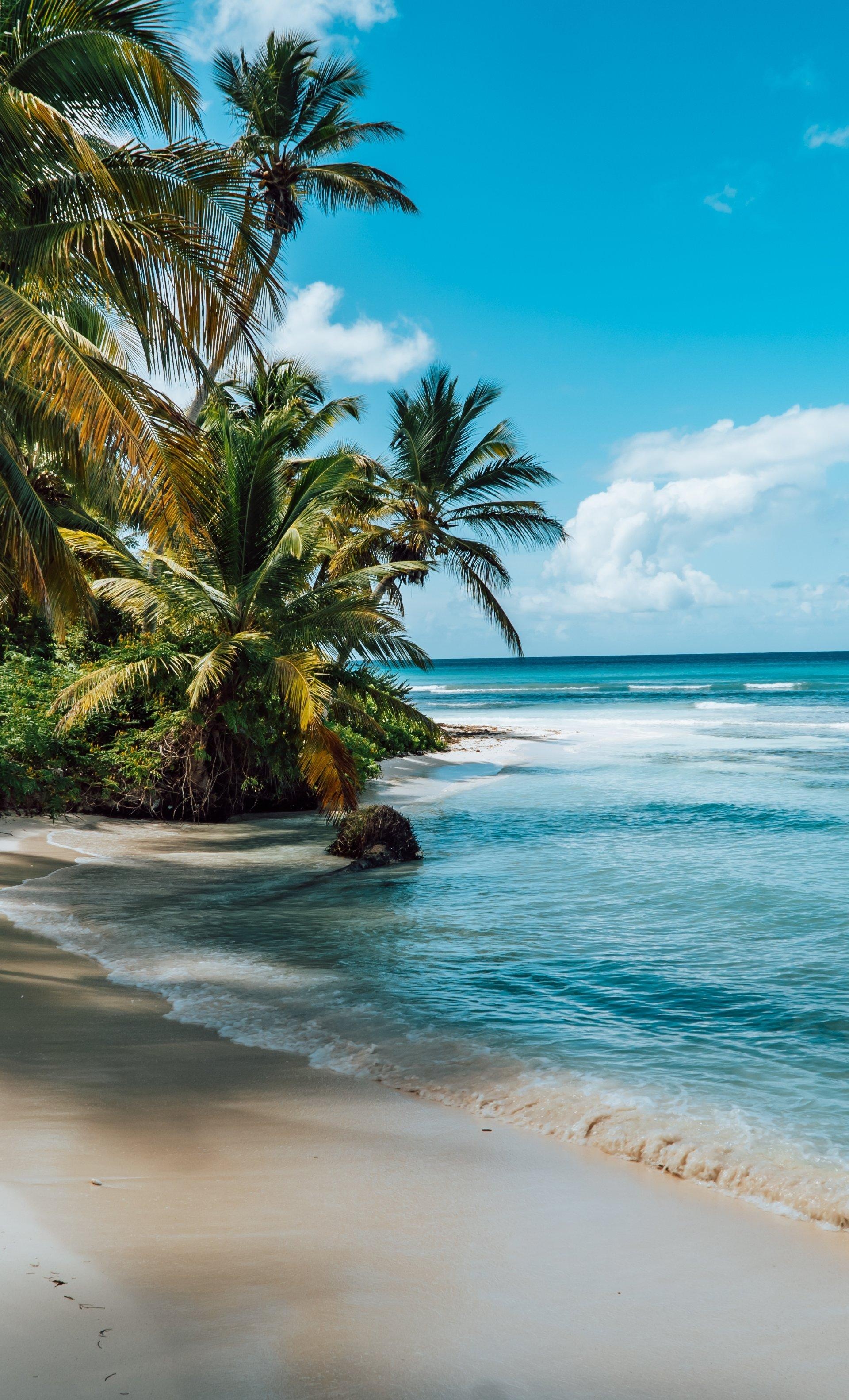 Descubre Las Mejores Playas En República Dominicana